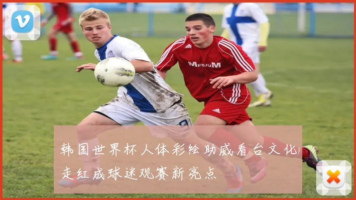 韩国世界杯人体彩绘助威看台文化走红成球迷观赛新亮点