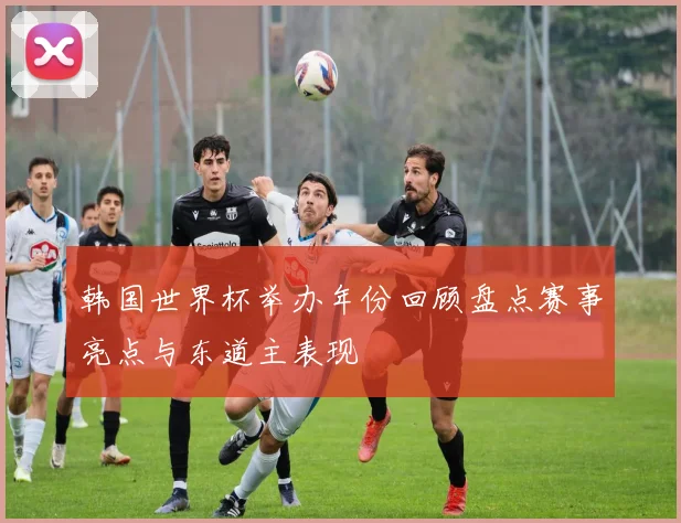 韩国世界杯举办年份回顾盘点赛事亮点与东道主表现