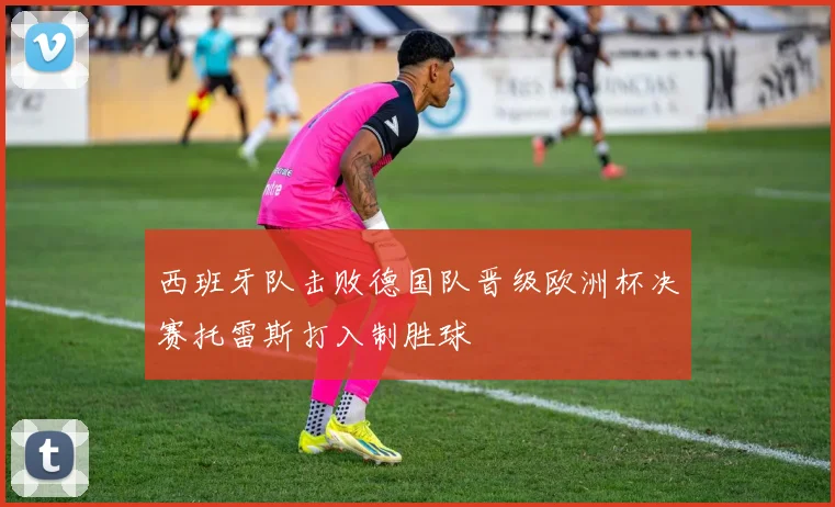 西班牙队击败德国队晋级欧洲杯决赛托雷斯打入制胜球