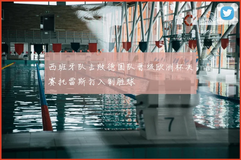 西班牙队击败德国队晋级欧洲杯决赛托雷斯打入制胜球