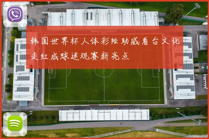 韩国世界杯人体彩绘助威看台文化走红成球迷观赛新亮点