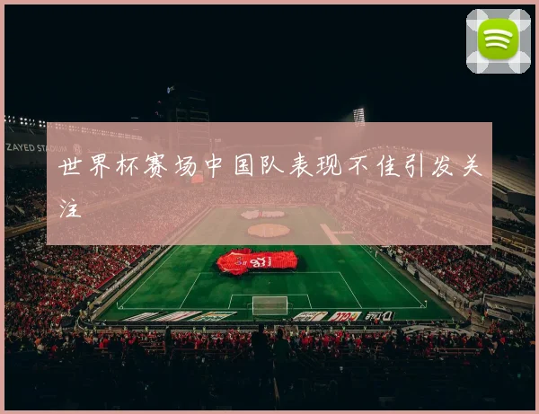 世界杯赛场中国队表现不佳引发关注