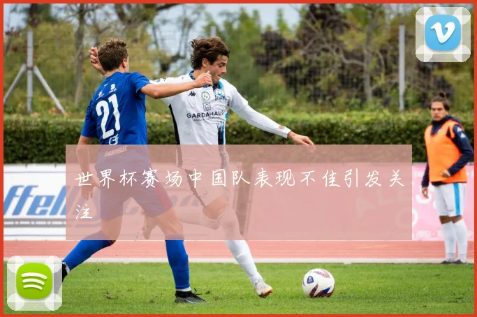 世界杯赛场中国队表现不佳引发关注